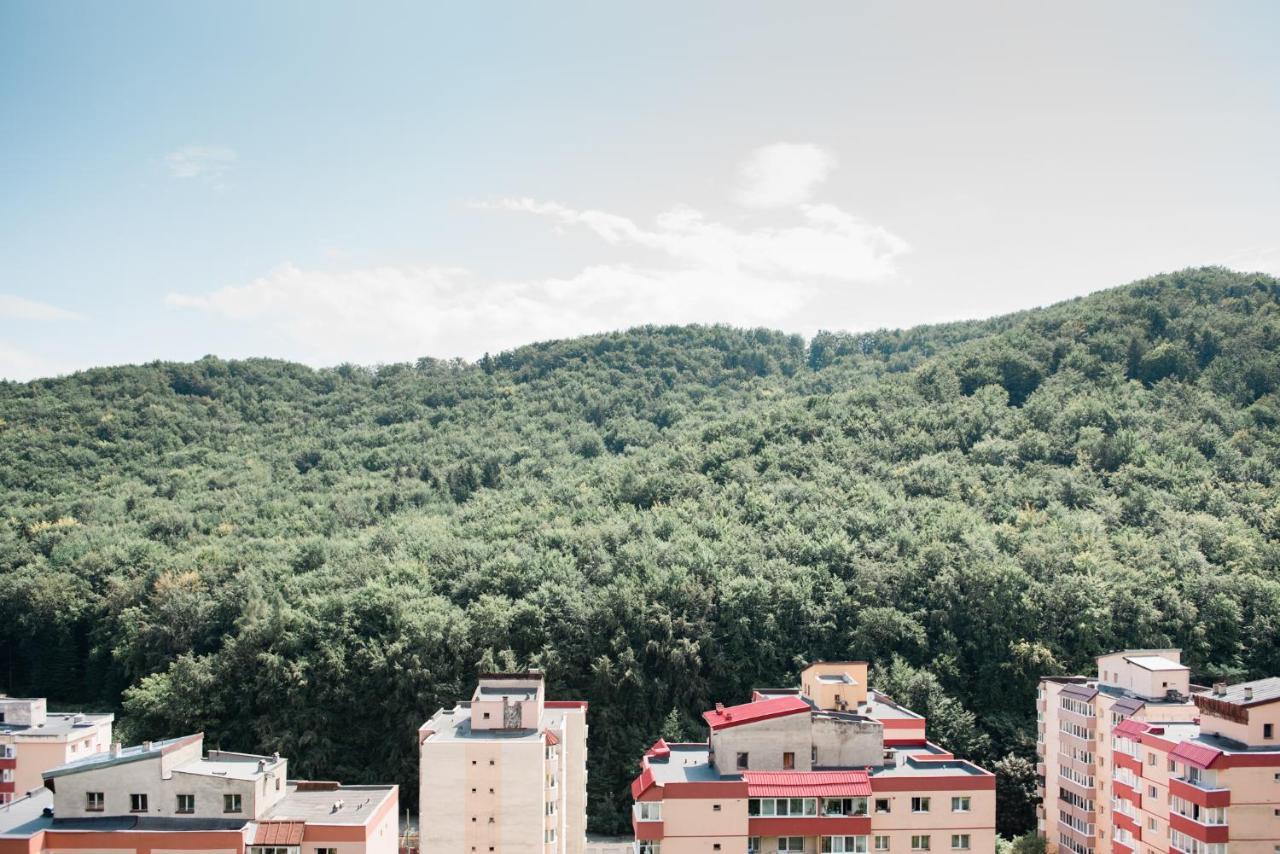 Nature Escape Apartment Брашов Экстерьер фото